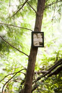Allen Ginsburg photo on a tree